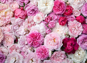 3D Floral Rose Wall Mural Wallpaper YXL 2649