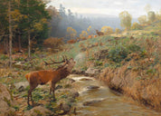 3D Animal Forest Wapiti River Stone Tree Wall Mural Wallpaper YXL 3- Jess Art Decoration