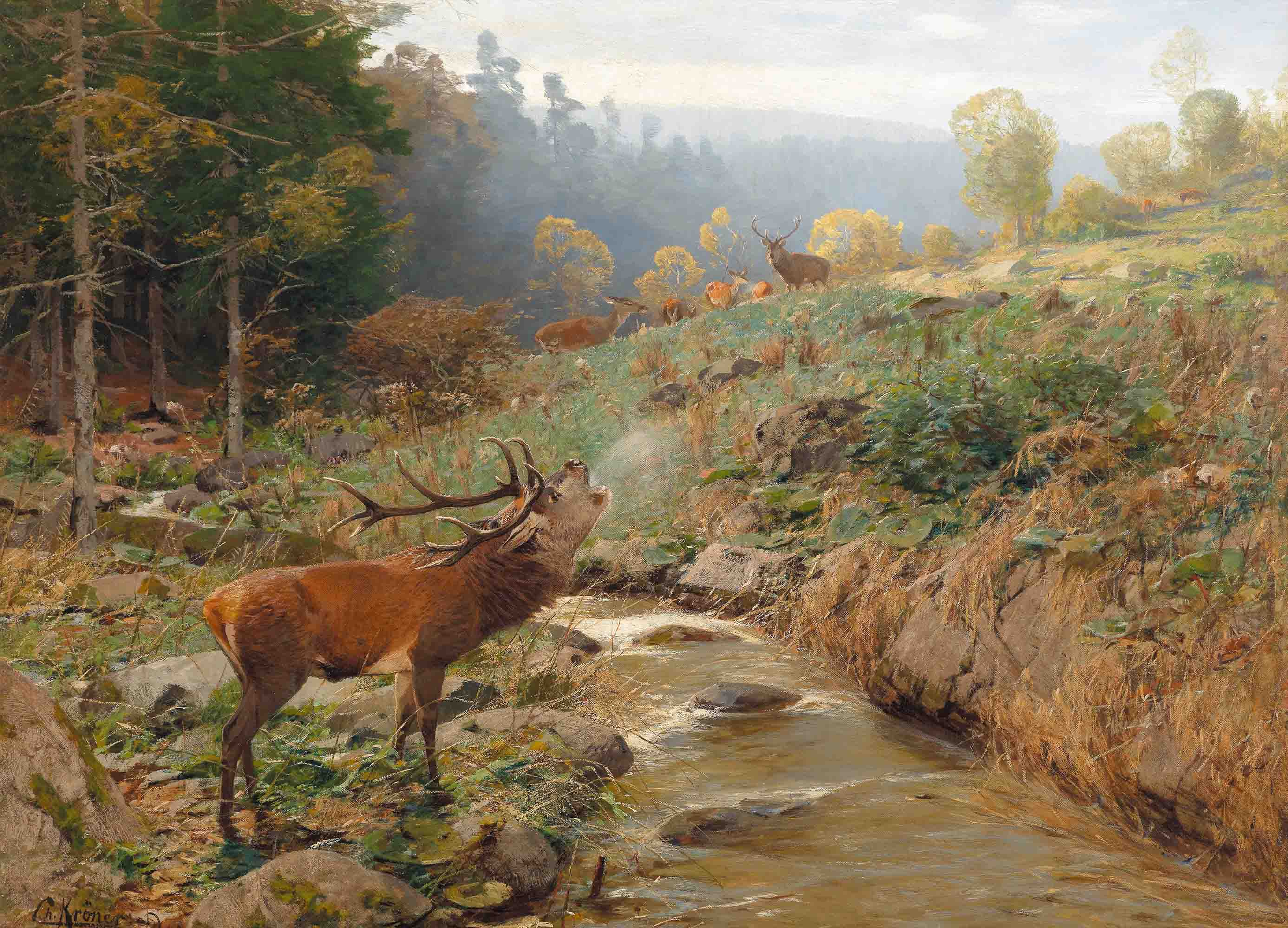 3D Animal Forest Wapiti River Stone Tree Wall Mural Wallpaper YXL 3- Jess Art Decoration