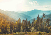 3D Tree Mountain Grassland Sunlight Cloud Sky Wall Mural Wallpaper YXL 2899