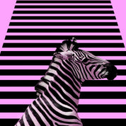 3D Retail Shop Store Market Trade Zebra Wall Mural Wallpaper 12