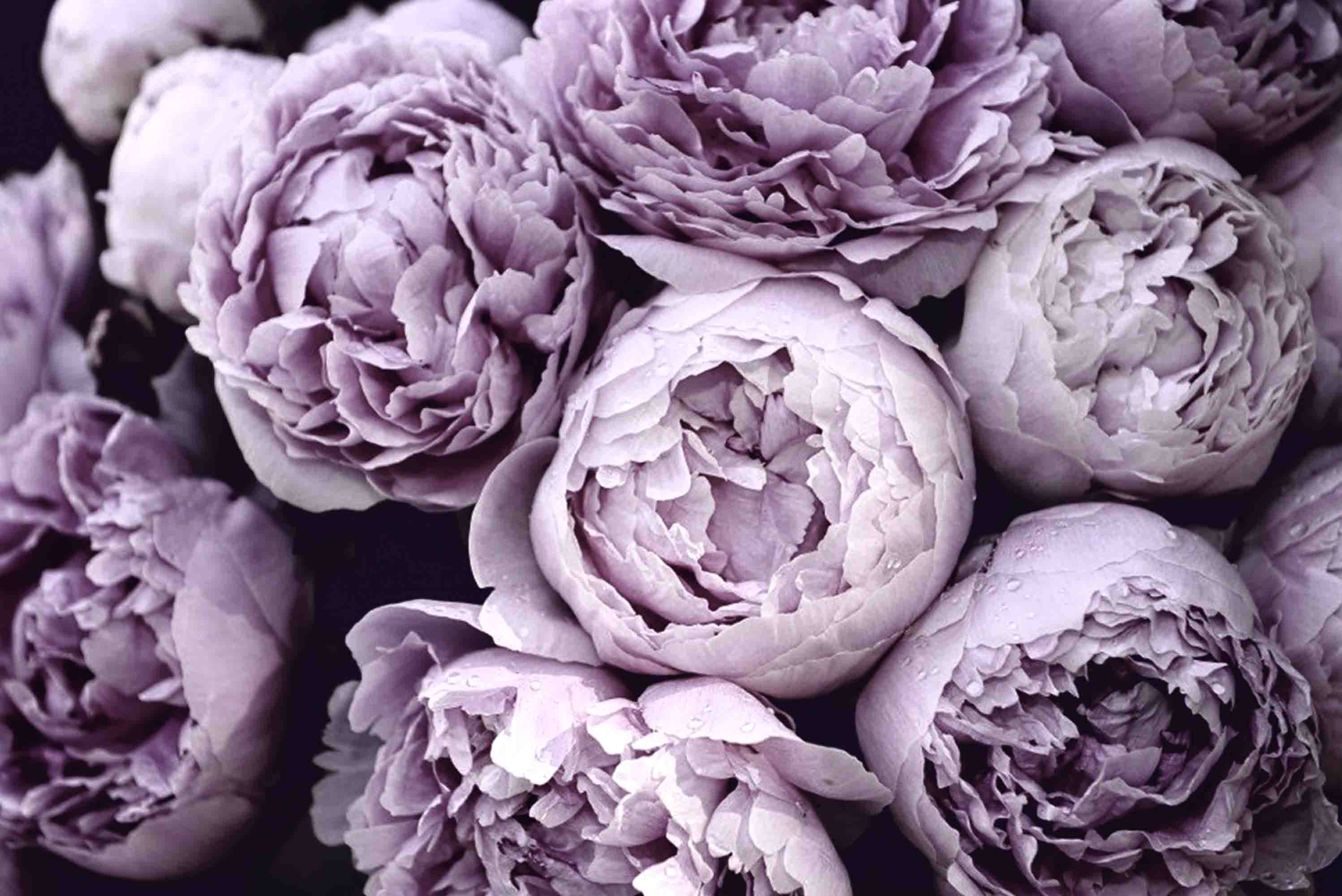 3D Retail Shop Store Market Trade Purple Floral Wall Mural Wallpaper 10