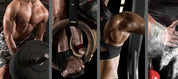 3D Fitness Weightlifting Arm Dumbbell Wall Mural Wallpaper YXL 125