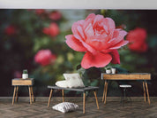 3D Pink Rose Flower Leaf Plant Wallpaper Wall Mural Wall Decor Wall Art Wall Sticker Remoable Wallpaper