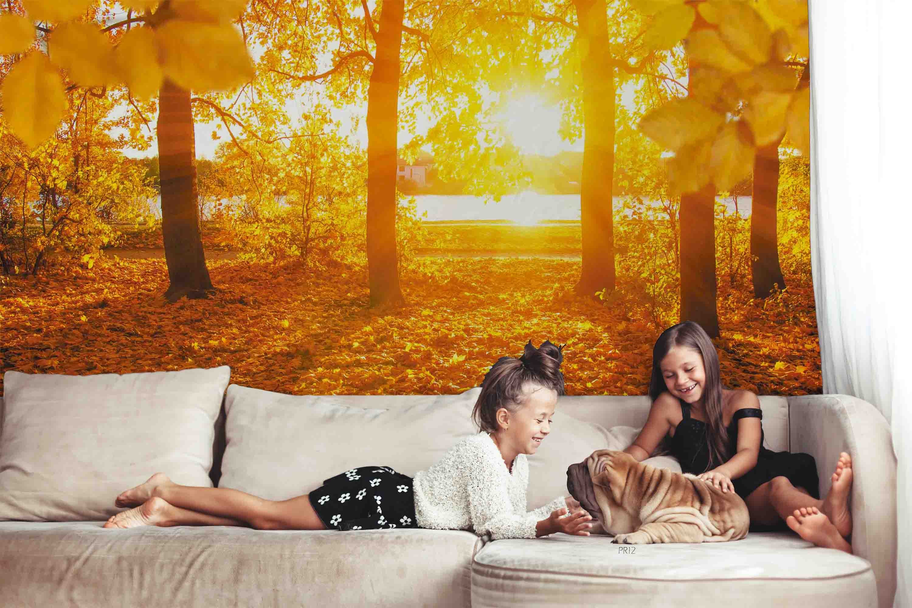 3D Autumn Forest Fallen Leaves River Sunset Scenery Wall Mural Wallpaper GD 4978- Jess Art Decoration