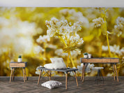 3D White Floral Wallpaper Wall Mural Wall Decor Wall Art Wall Sticker Remoable Wallpaper
