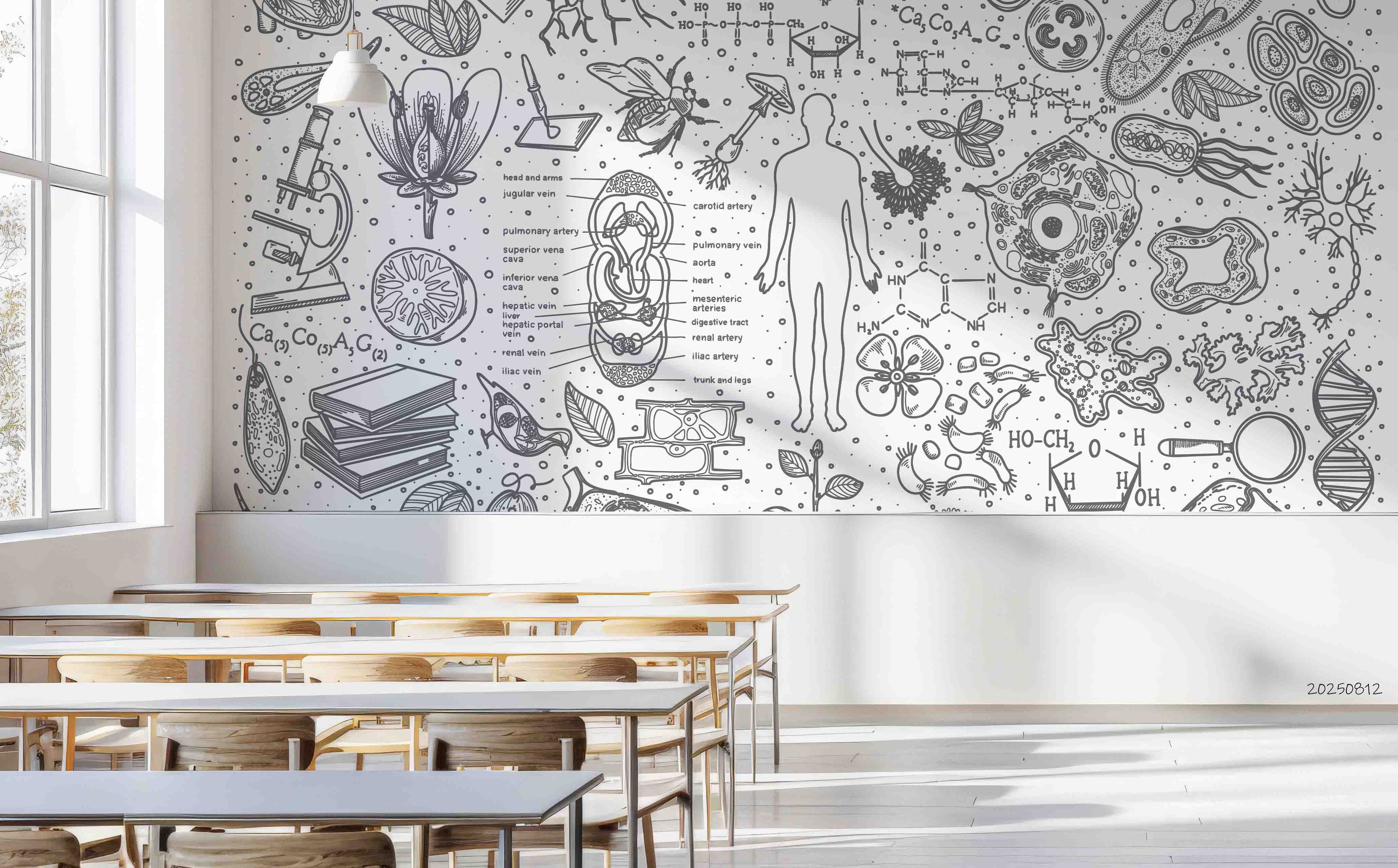 3D School STEM Science Lab Classroom Teaching Aid Wall Mural Wallpaper 46