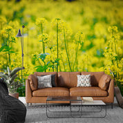 3D Yellow Rapeseed Field Flower Wallpaper Wall Mural Wall Decor Wall Art Wall Sticker Remoable Wallpaper