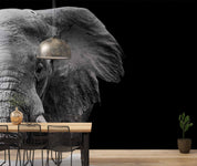 3D Animal Elephant Grey Black Wall Mural Wallpaper YXL 14- Jess Art Decoration