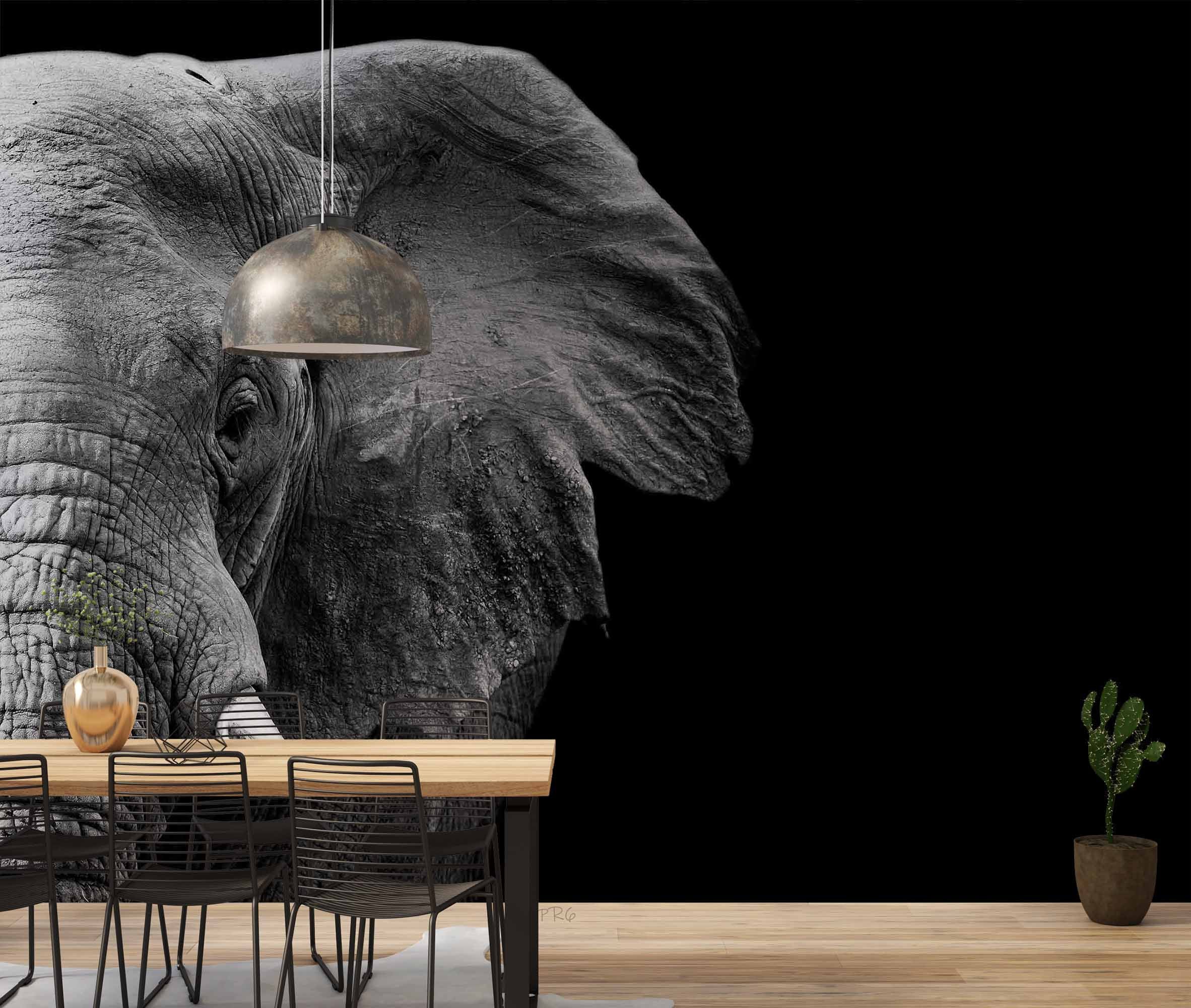 3D Animal Elephant Grey Black Wall Mural Wallpaper YXL 14- Jess Art Decoration