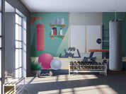 3D Gym Dumbbell Fitness Ball Boxing Wall Mural Wallpaper YXL 2379