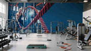 3D Gym Fitness Gymnasium Wall Mural Wallpaper 41