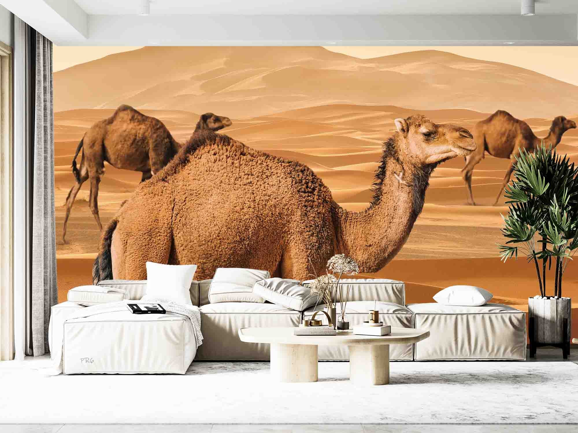 3D Animal Camel Desert Golden Wall Mural Wallpaper YXL 1- Jess Art Decoration