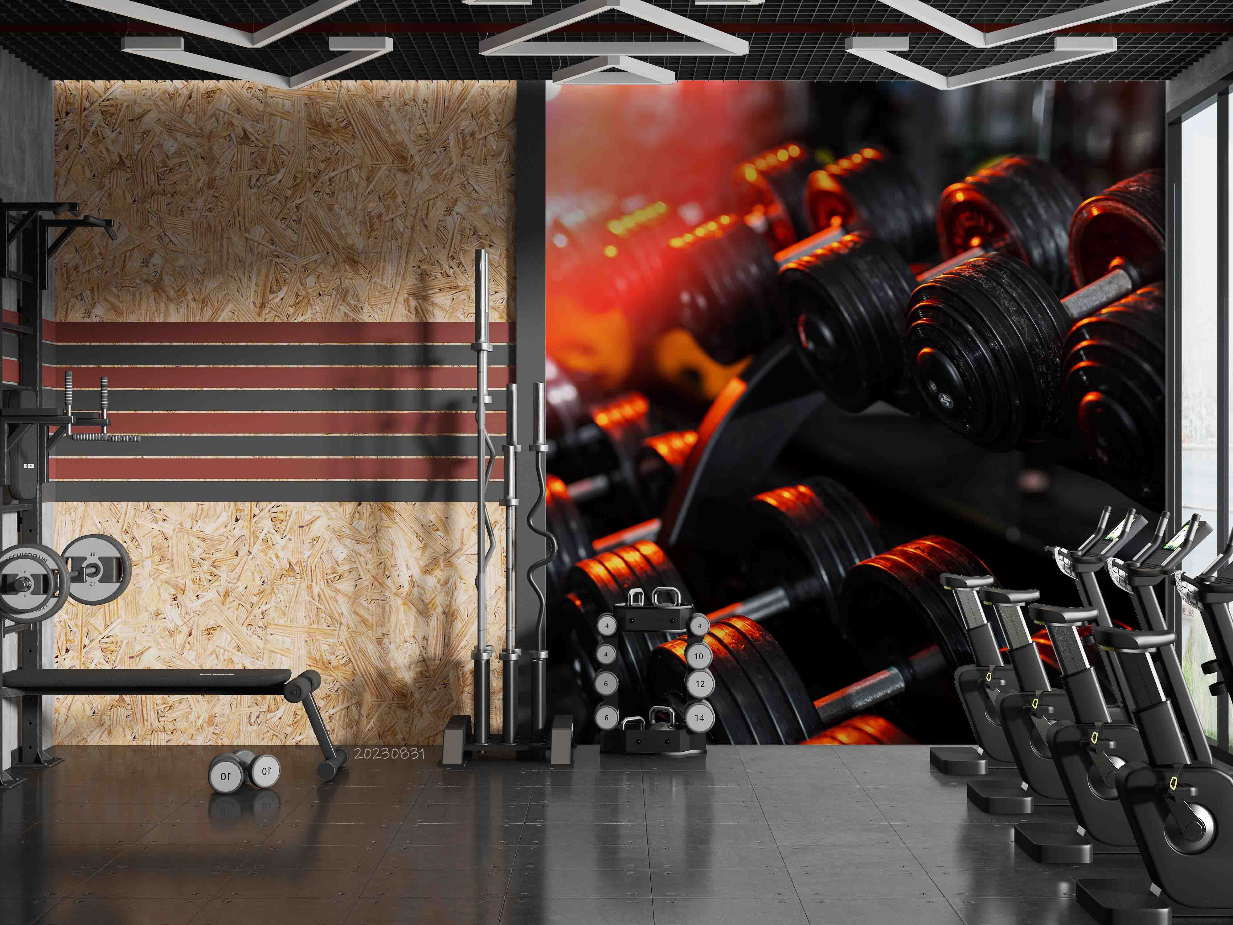 3D Fitness Equipment Dumbbell Wall Mural Wallpaper YXL 2400