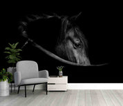 3D Dark Horse Avatar Wall Mural Wallpaper GD 5361- Jess Art Decoration