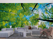 3D Summer Green Tree Sky Wall Mural Wallpaper GD 4471- Jess Art Decoration