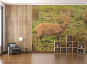 3D Nature Green Forest Sika Deer Wallpaper Wall Mural Wall Decor Wall Art Wall Sticker Remoable Wallpaper 33