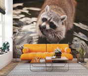 3D Nature Animal Brown Raccoon Wallpaper Wall Mural Wall Decor Wall Art Wall Sticker Remoable Wallpaper 1