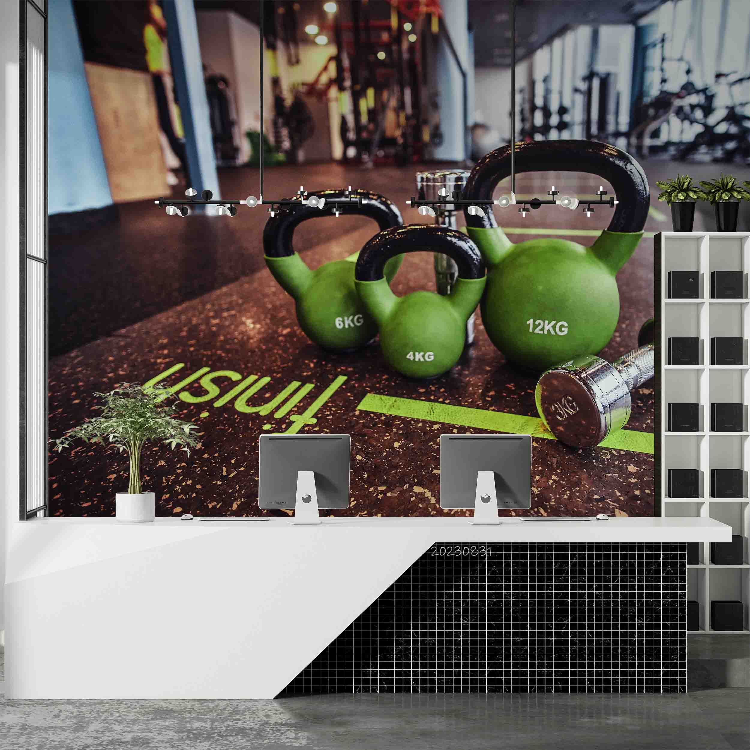 3D Gym Kettle-Bell Dumbbell Wall Mural Wallpaper YXL 2402