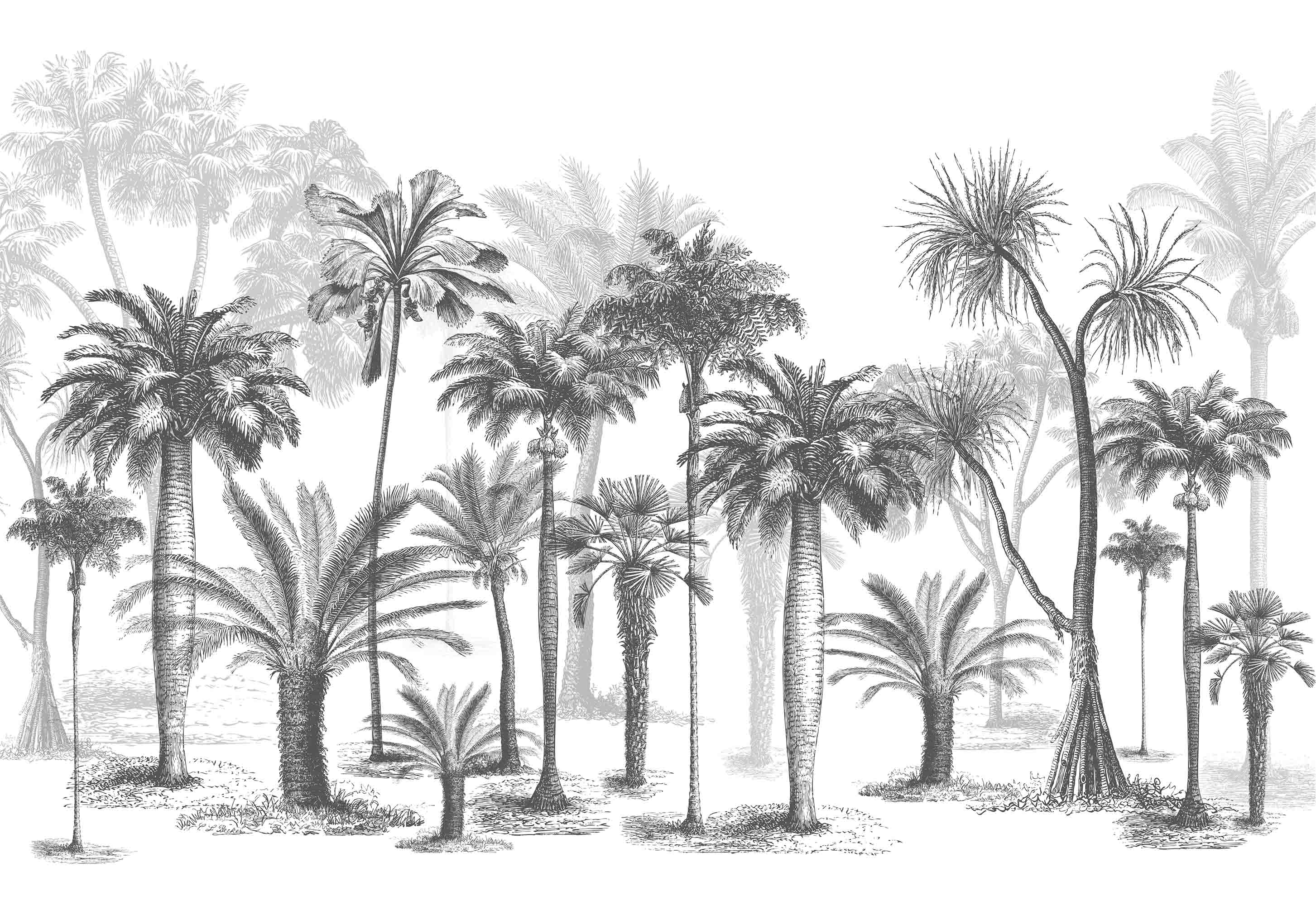 3D Misty Palm Tree Forest soft tropical palm landscape wall mural wallpaper for bedroom - view 7