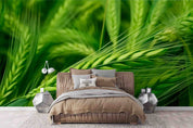 3D Green Rice Field Wheat Ear Wallpaper Wall Mural Wall Decor Wall Art Wall Sticker Remoable Wallpaper