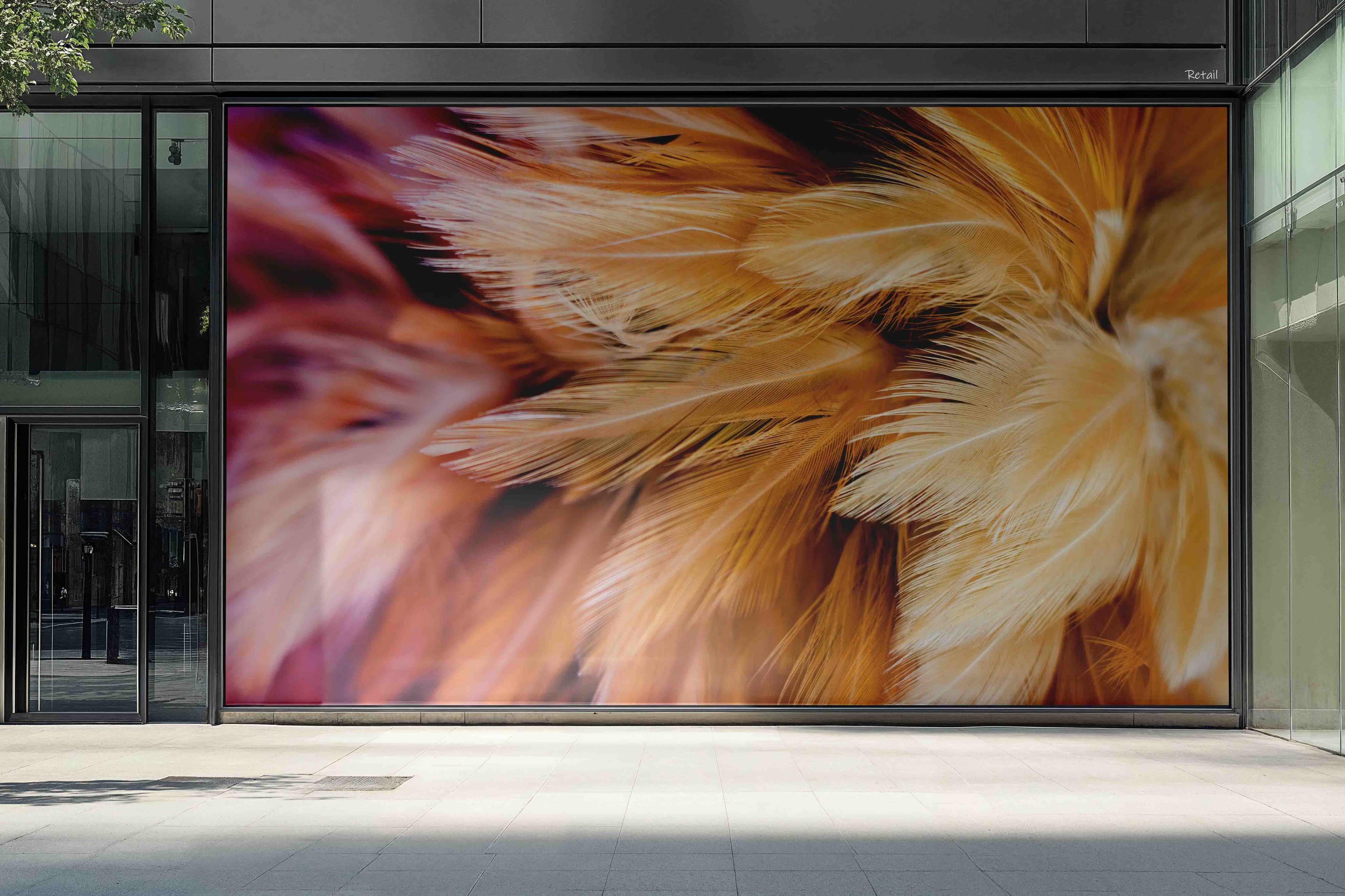 3D Retail Shop Store Market Trade Feather Wall Mural Wallpaper 23