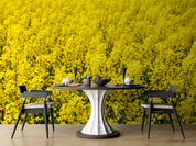 3D Yellow Rapeseed Field Floral Wallpaper Wall Mural Wall Decor Wall Art Wall Sticker Remoable Wallpaper