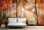 3D Forest Trees Misty Morning Sun Sunshine Wall Mural Wallpaper GD 4710- Jess Art Decoration