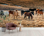 3D Icelandic Horse Group Wall Mural Wallpaper GD 5334- Jess Art Decoration