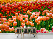 3D Colorful Tulip Flower Wallpaper Wall Mural Wall Decor Wall Art Wall Sticker Remoable Wallpaper