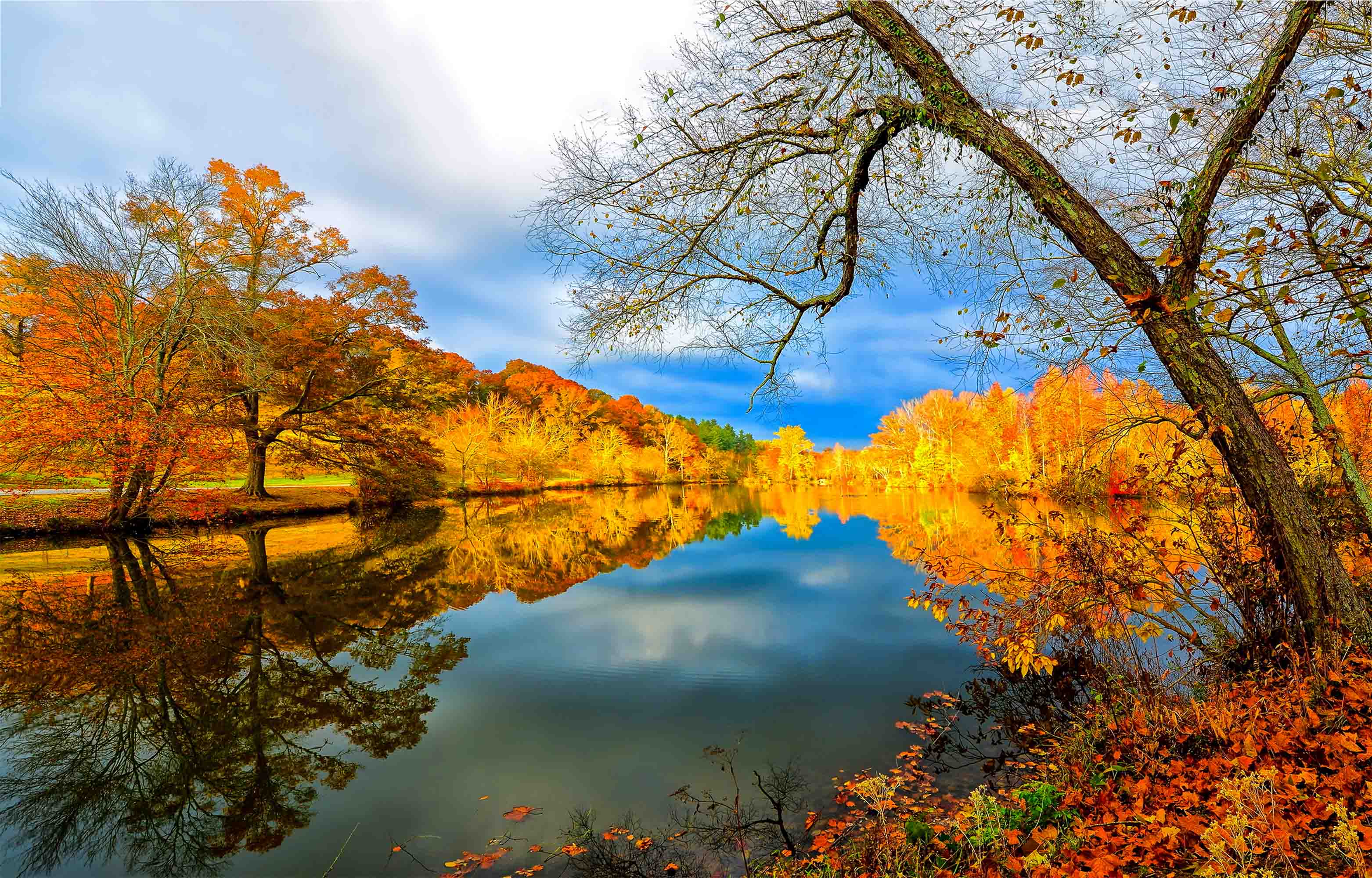 3D Yellow Forest Lake Trees Autumn Landscape Wall Mural Wallpaper JN 396