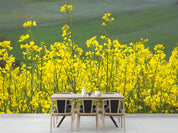 3D Yellow Rapeseed Field Wallpaper Wall Mural Wall Decor Wall Art Wall Sticker Remoable Wallpaper