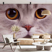 3D Animal Cat Face Eye Gray Wall Mural Wallpaper YXL 499