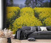3D Yellow Rapeseed Field Flower Wallpaper Wall Mural Wall Decor Wall Art Wall Sticker Remoable Wallpaper
