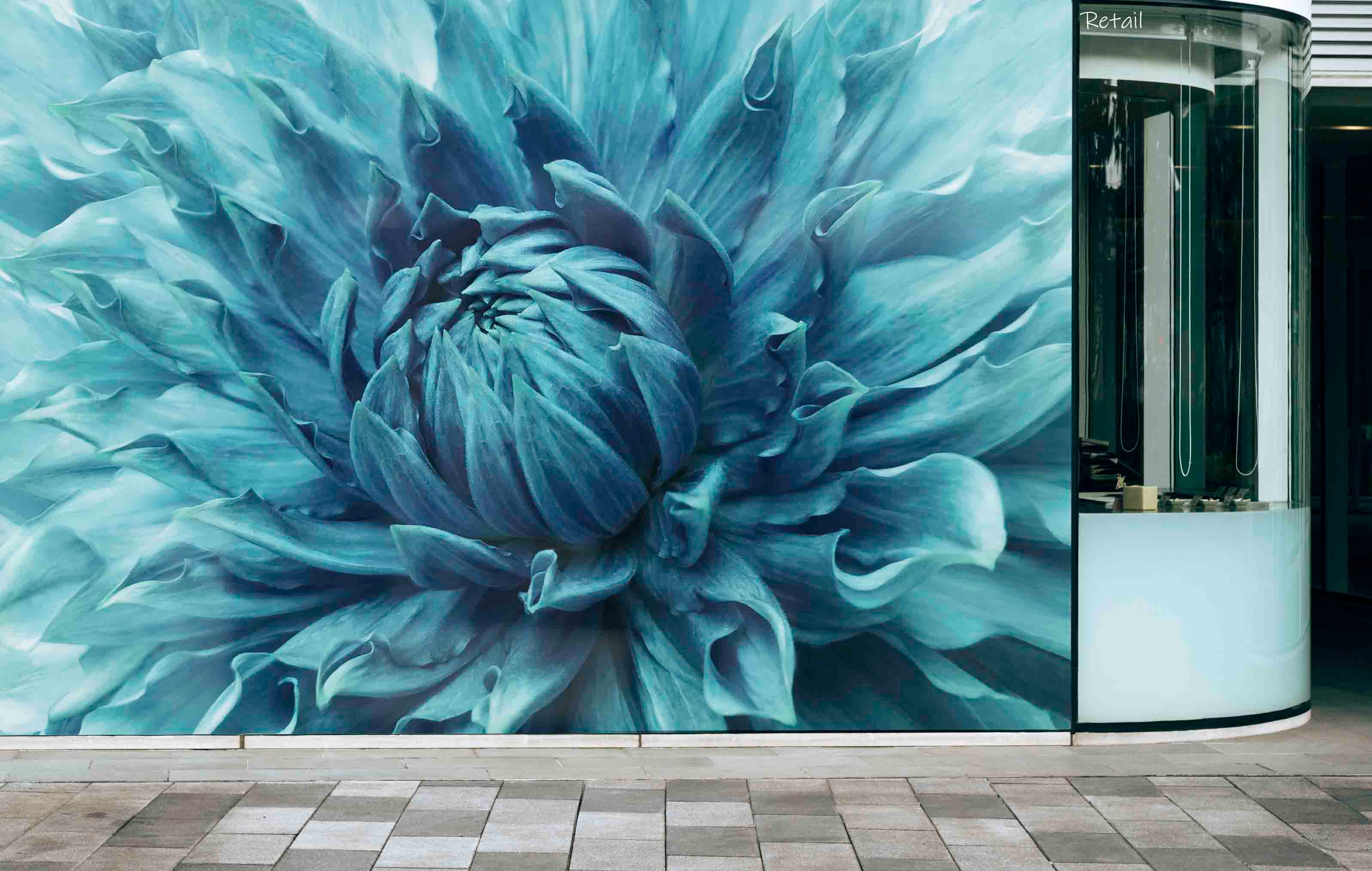 3D Retail Shop Store Market Trade Blue Floral Wall Mural Wallpaper 15