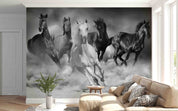 3D Five Horses Running Desert Dust Wall Mural Wallpaper GD 4761- Jess Art Decoration