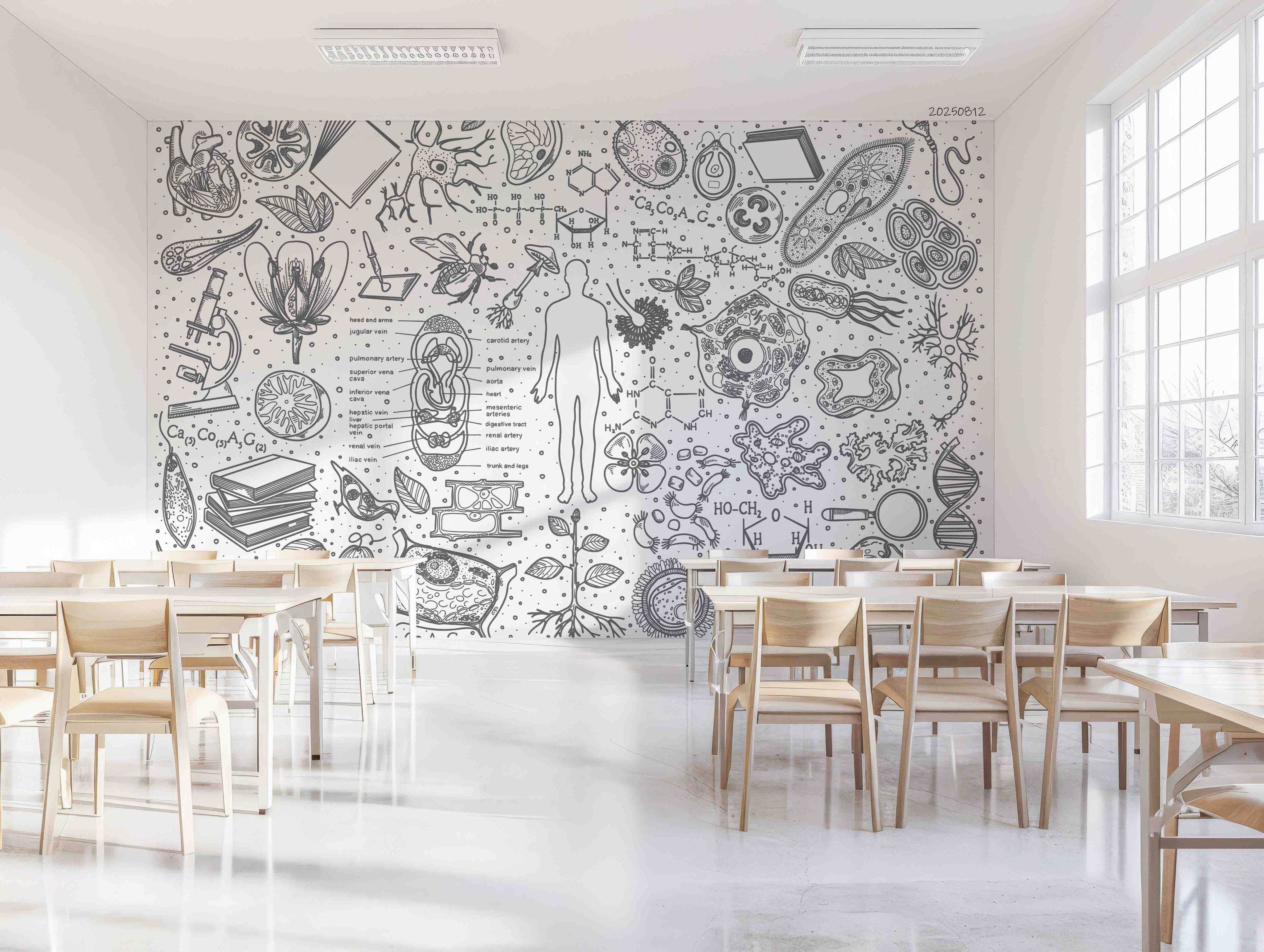 3D School STEM Science Lab Classroom Teaching Aid Wall Mural Wallpaper 46