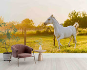 3D White Horse Meadow Sunset Wall Mural Wallpaper GD 5299- Jess Art Decoration