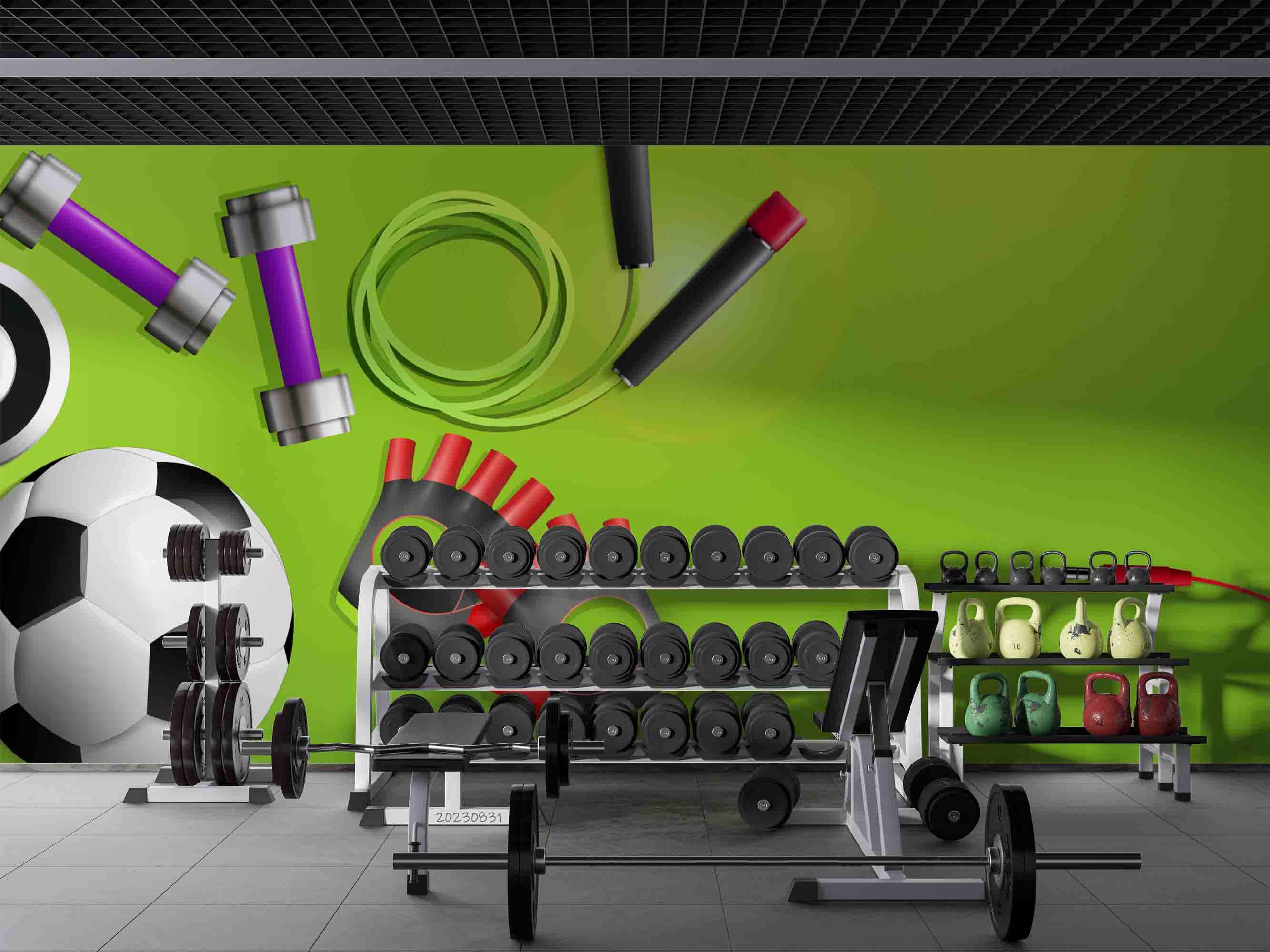 3D Football Grassland Dumbbell Rope Skipping Wall Mural Wallpaper YXL 2374