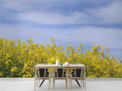 3D Yellow Rapeseed Field Blue Sky Wallpaper Wall Mural Wall Decor Wall Art Wall Sticker Remoable Wallpaper