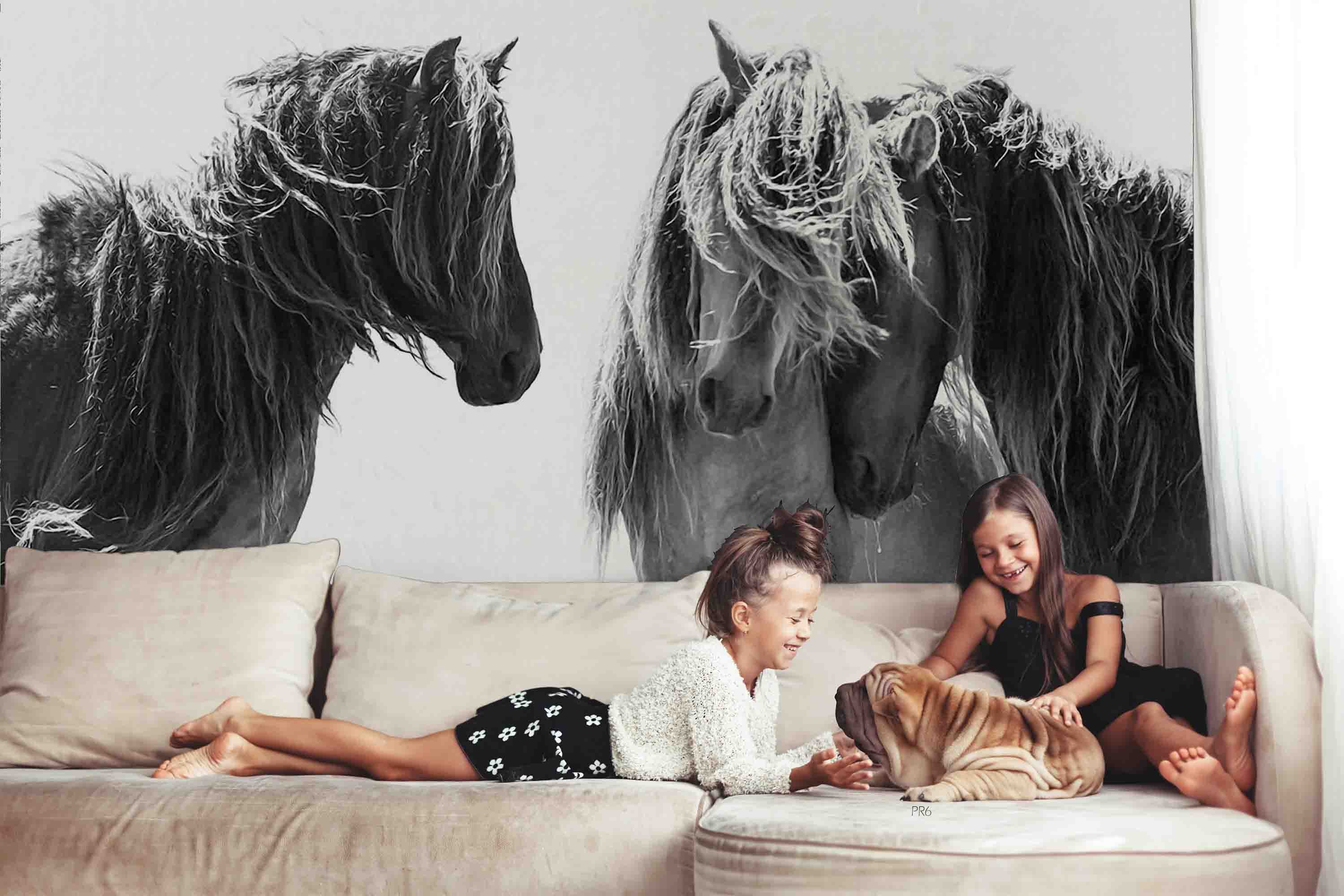 3D Animal Horse Grey Wall Mural Wallpaper YXL 11- Jess Art Decoration