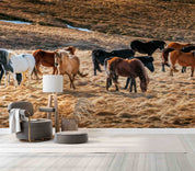 3D Icelandic Horse Group Wall Mural Wallpaper GD 5334- Jess Art Decoration