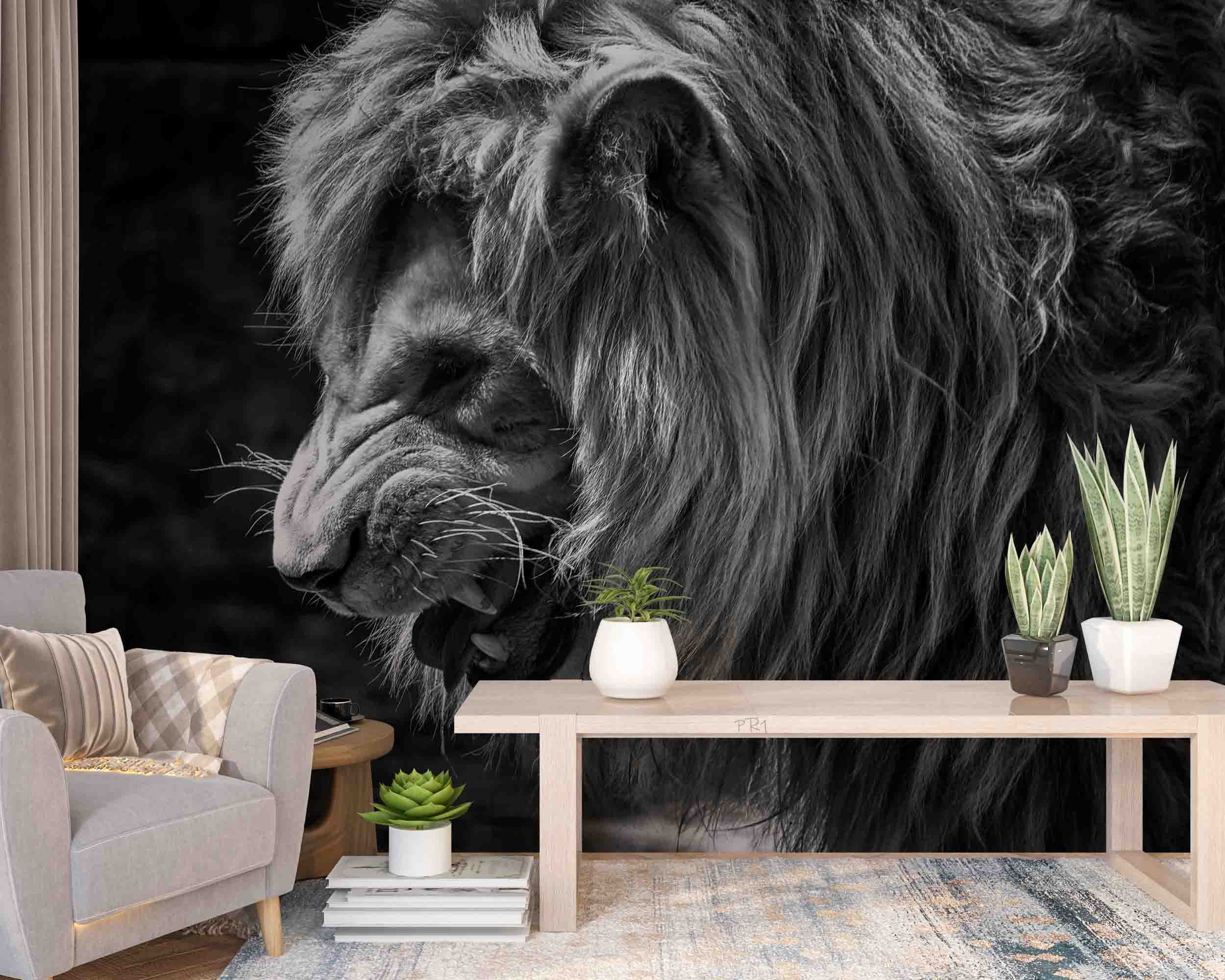 3D Forest Animal Lion Cub Black Wall Mural Wallpaper GD 3626- Jess Art Decoration
