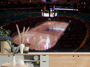 3D Architecture Stadium Skating Rink Wall Mural Wallpaper YXL 461