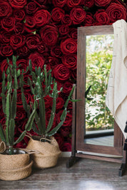 3D Red Rose Background deep red rose feature wall wall mural wallpaper for bathroom - view 7