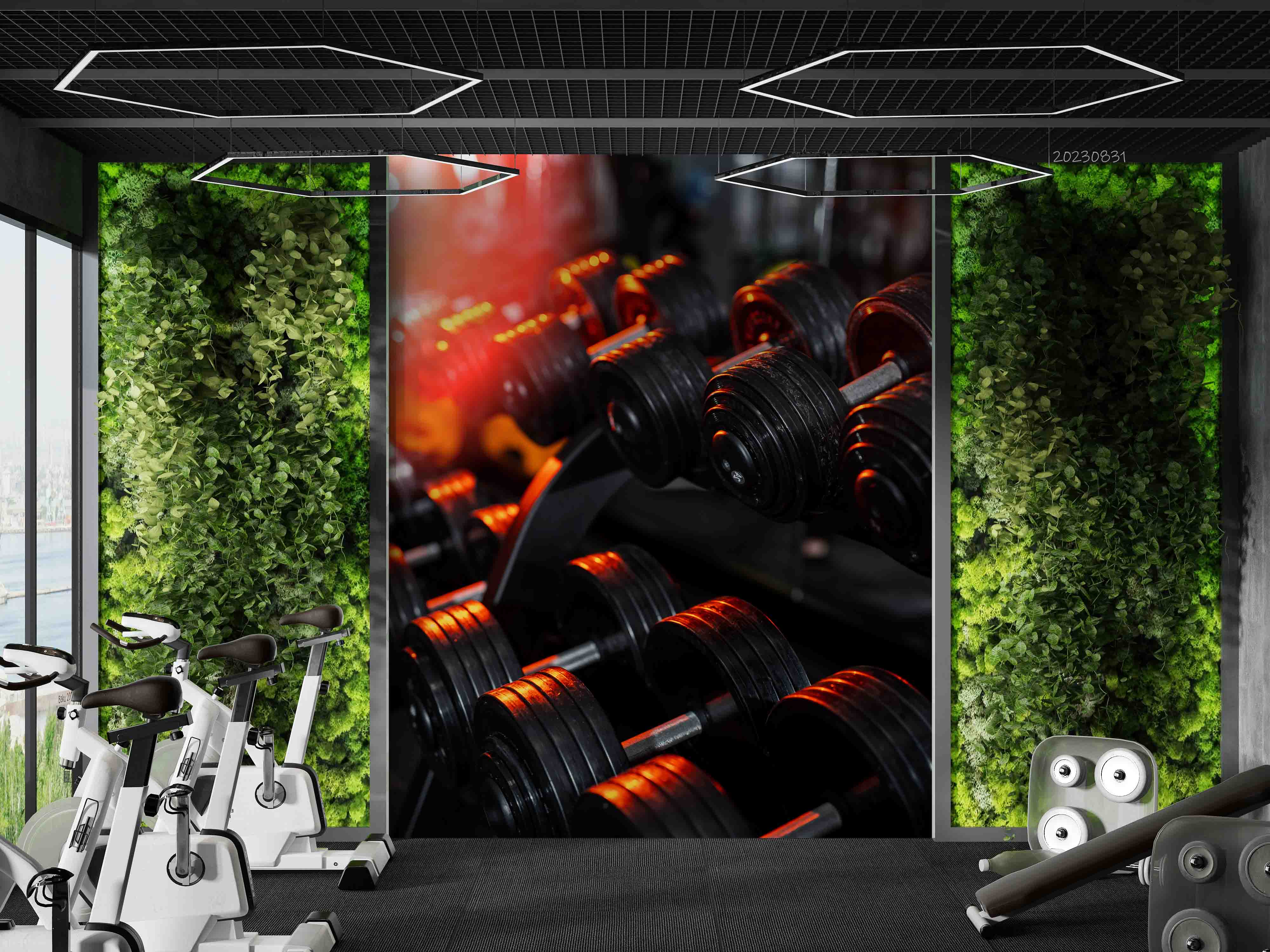 3D Fitness Equipment Dumbbell Wall Mural Wallpaper YXL 2400