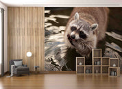 3D Nature Animal Brown Raccoon Wallpaper Wall Mural Wall Decor Wall Art Wall Sticker Remoable Wallpaper 1