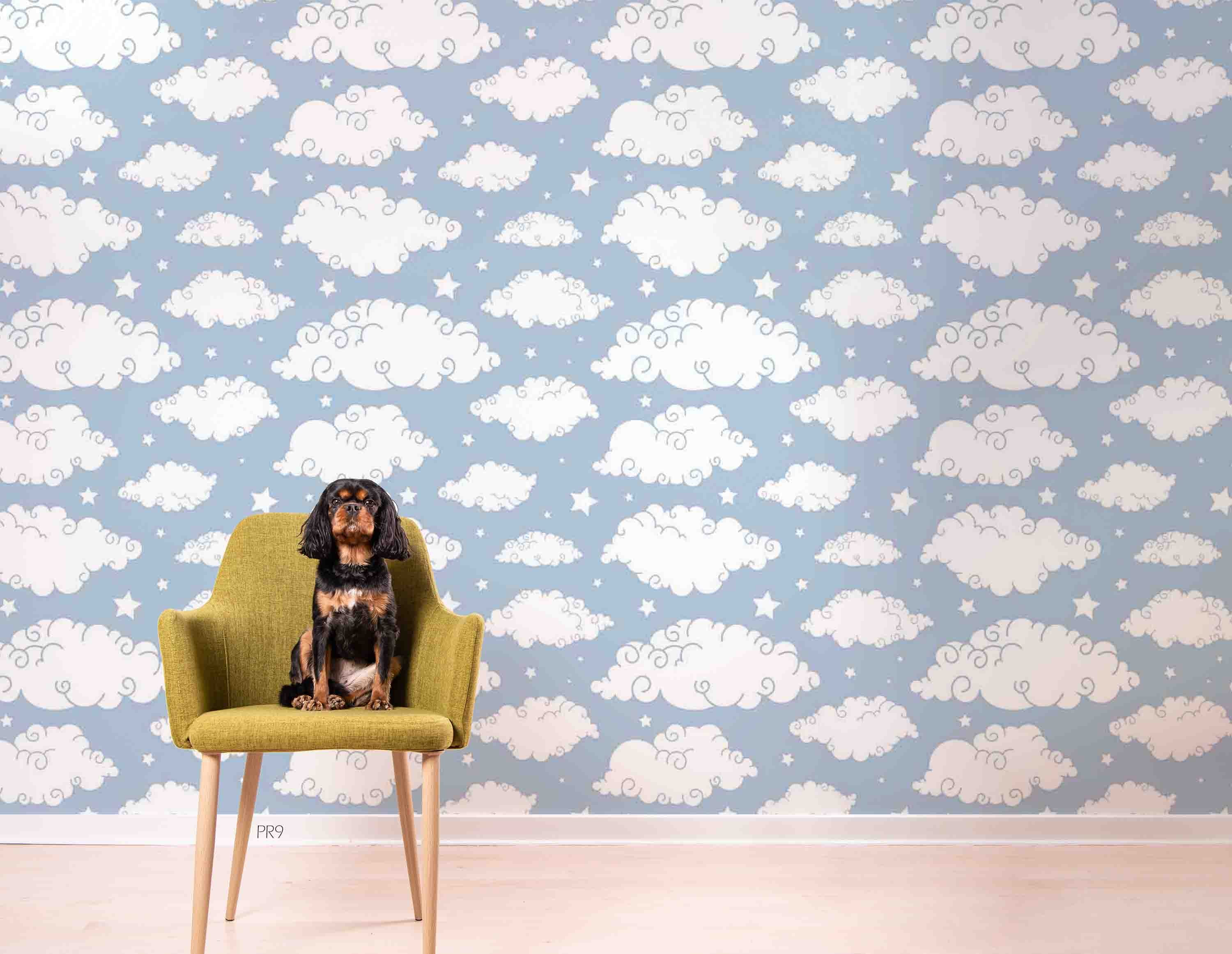 3D Cute Cloud Stars Kids Wall Mural Wallpaper GD 4665- Jess Art Decoration