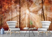 3D Forest Trees Misty Morning Sun Sunshine Wall Mural Wallpaper GD 4710- Jess Art Decoration