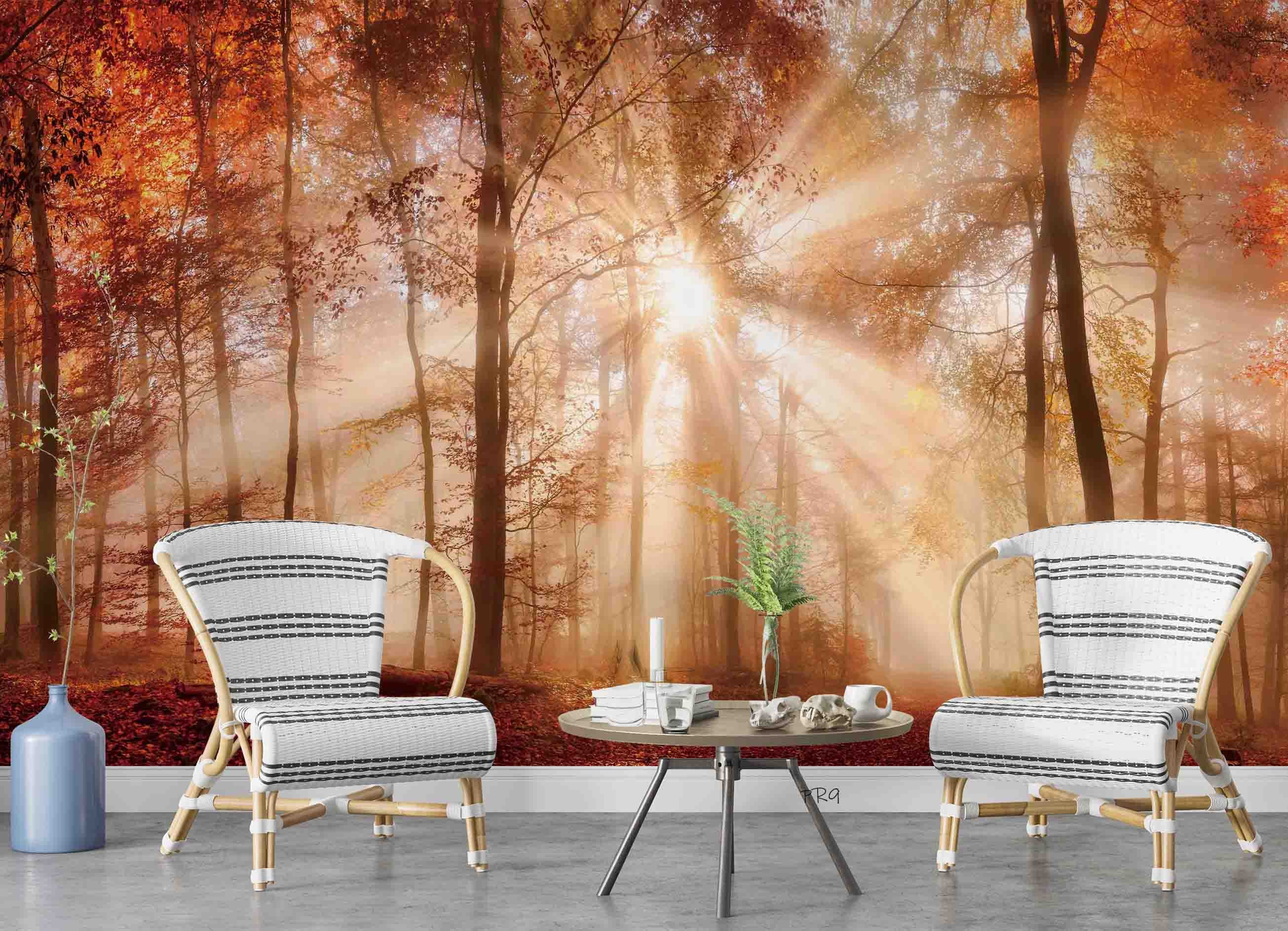 3D Forest Trees Misty Morning Sun Sunshine Wall Mural Wallpaper GD 4710- Jess Art Decoration